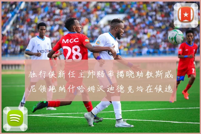 独行侠新任主帅赔率揭晓助教斯威尼领跑纳什哈姆汉迪德克均在候选之中