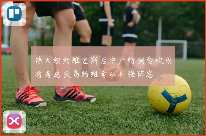 热火续约维金斯后中产特例告吹或将考虑交易约维奇以补强阵容