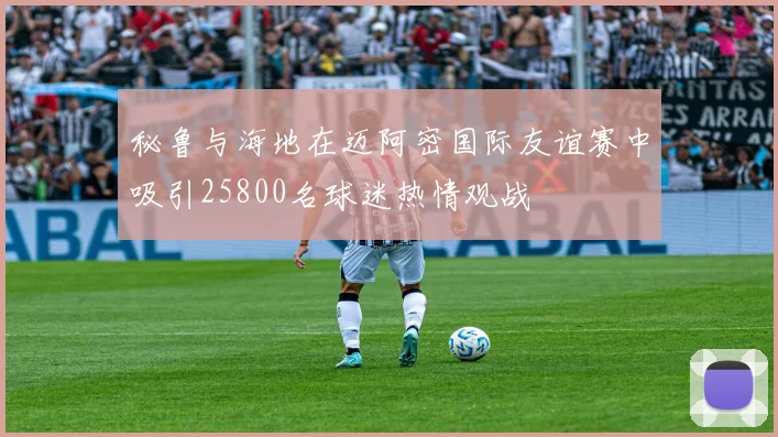 秘鲁与海地在迈阿密国际友谊赛中吸引25800名球迷热情观战